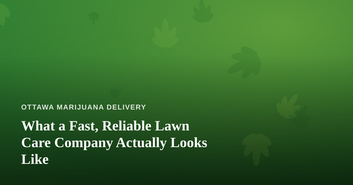 What a Fast, Reliable Lawn Care Company Actually Looks Like
